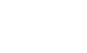 Logo APIVIA - partenaire assureur référencé par LesLions.fr